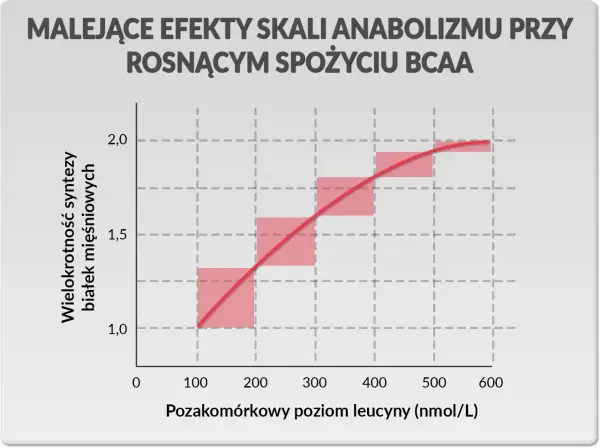 BCAA: co daje? Korzyści, dawkowanie i kiedy warto?