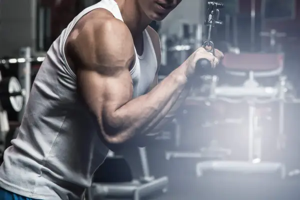 Gdzie jest triceps? Lokalizacja, budowa i funkcje mięśnia